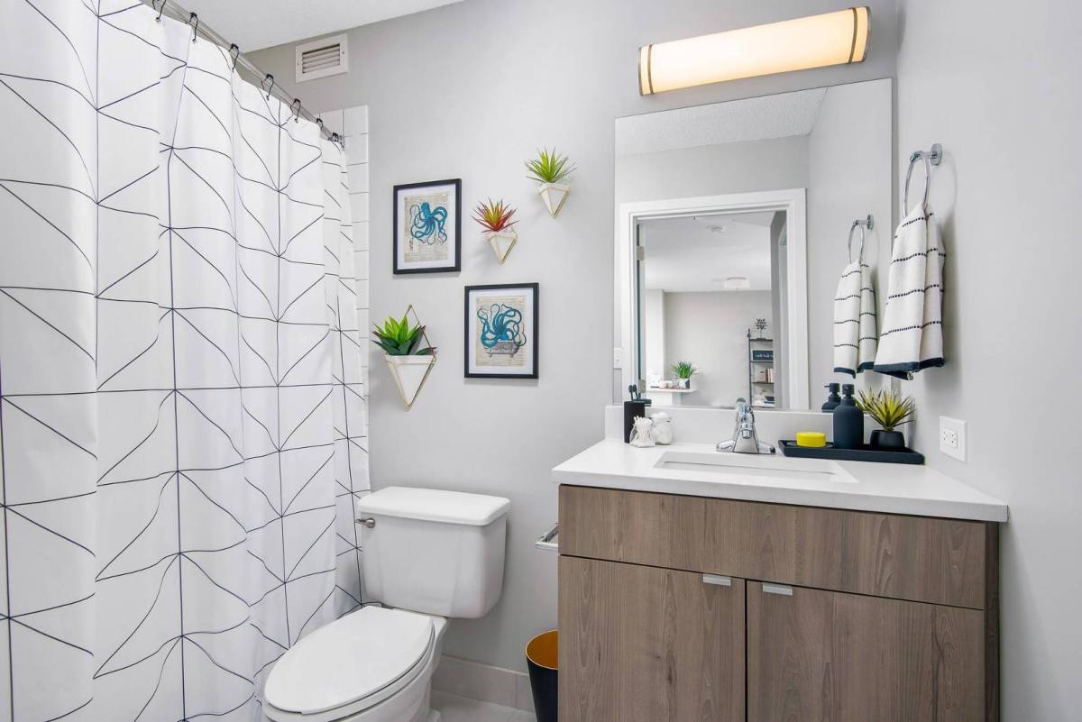 Apartment for rent at 1630 Chicago Ave, Evanston, IL 60201