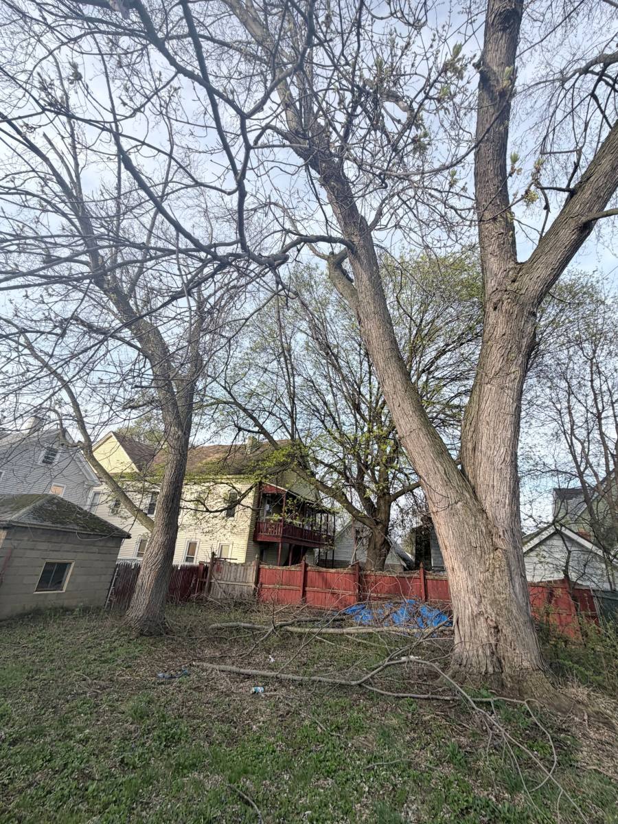 Apartment for rent at 1022 Avery Ave, Syracuse, NY 13204