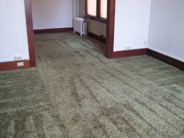 Apartment for rent at 3407 1st Ave N #5, Billings, MT 59101