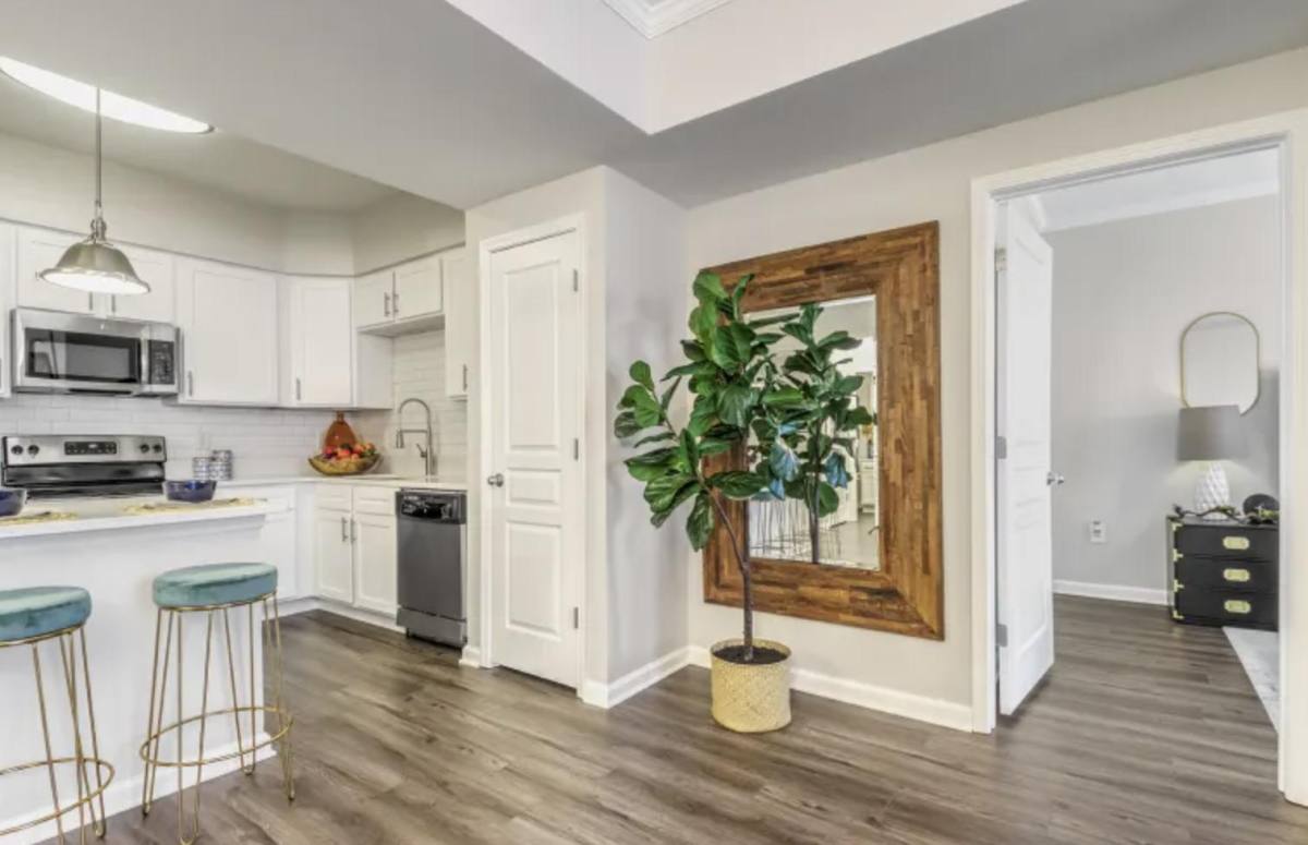 Apartment for rent at 4209 Lassiter Mill Rd, Raleigh, NC 27609