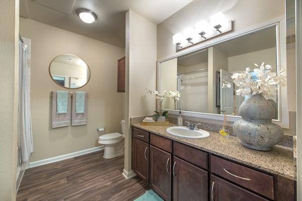 Apartment for rent at Vibe Medical District, 2140 Medical District Dr, Dallas, TX 75235