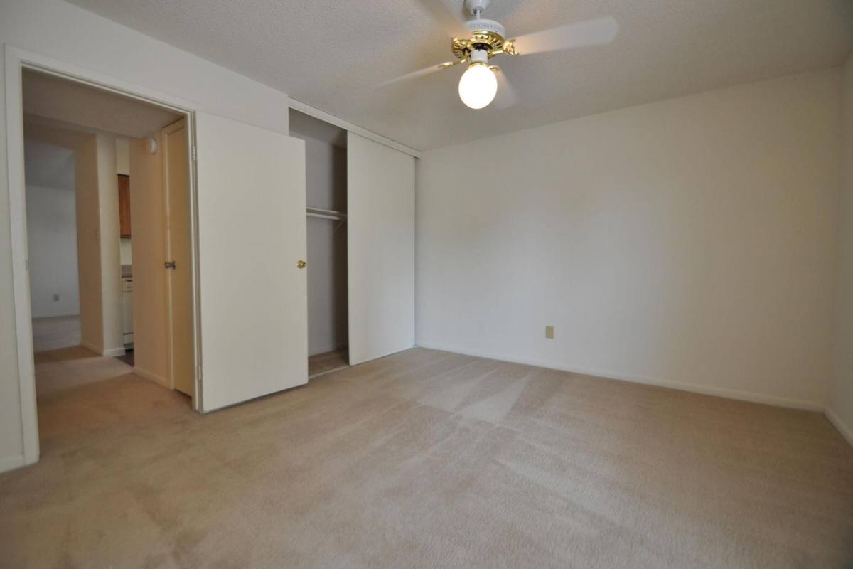 Apartment for rent at The Willows Apartment Homes, 10919 Fondren Rd, Houston, TX 77096