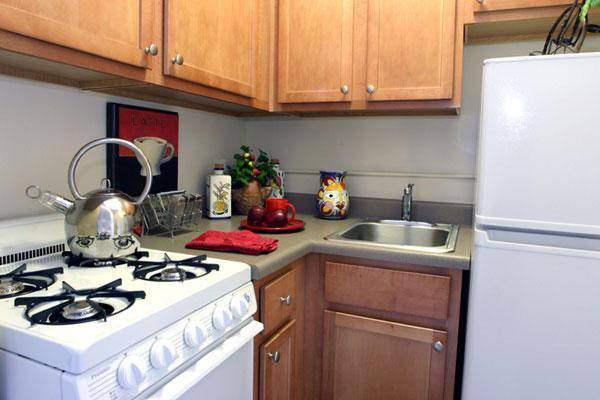 Apartment for rent at 5541 S Everett Ave, Chicago, IL 60637