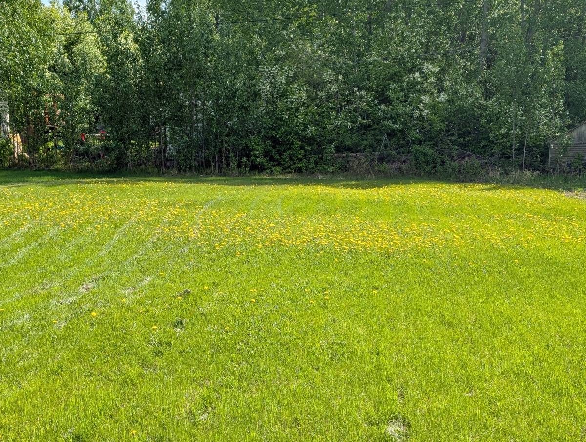 Apartment for rent at 4085 Iris Lane, Fairbanks, AK 99709