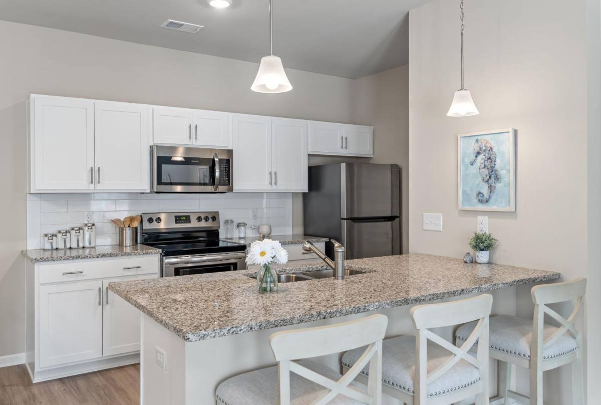 Apartment for rent at 1005 Sonoran Circle, Summerville, SC 29485