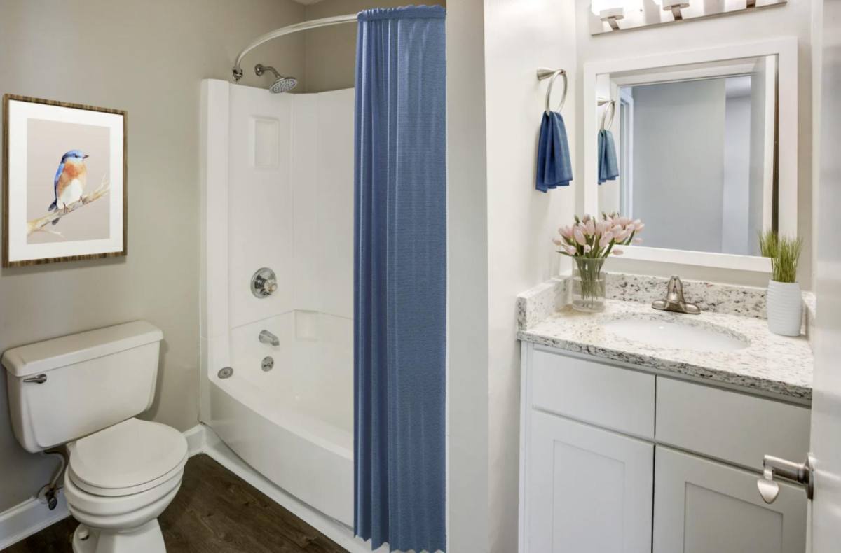Apartment for rent at 3207 Stones Throw Lane, Durham, NC 27713