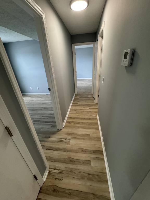 Apartment for rent at 8380 Cottonwood, Cincinnati, OH 45231