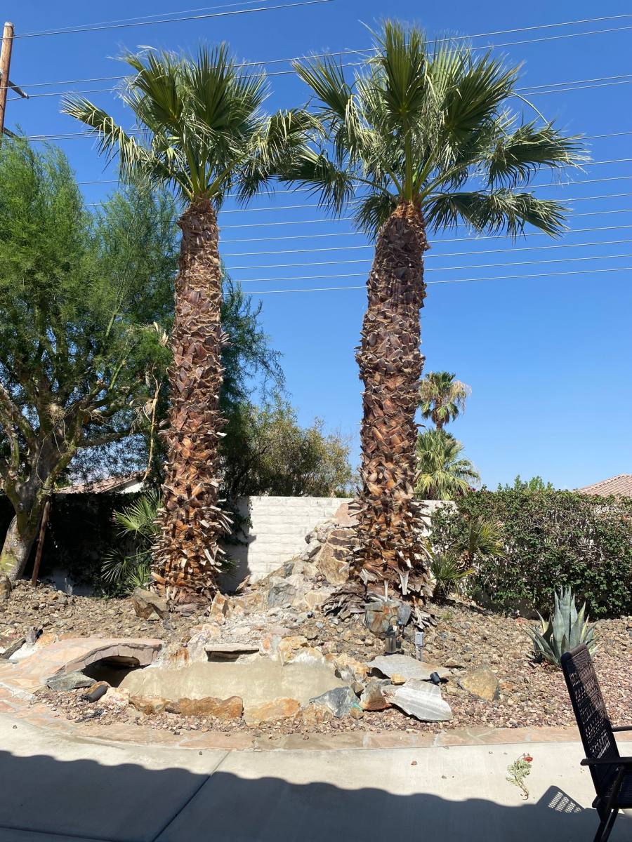 House for rent at 40592 Corte Los Pajaros, Indio, CA 92203