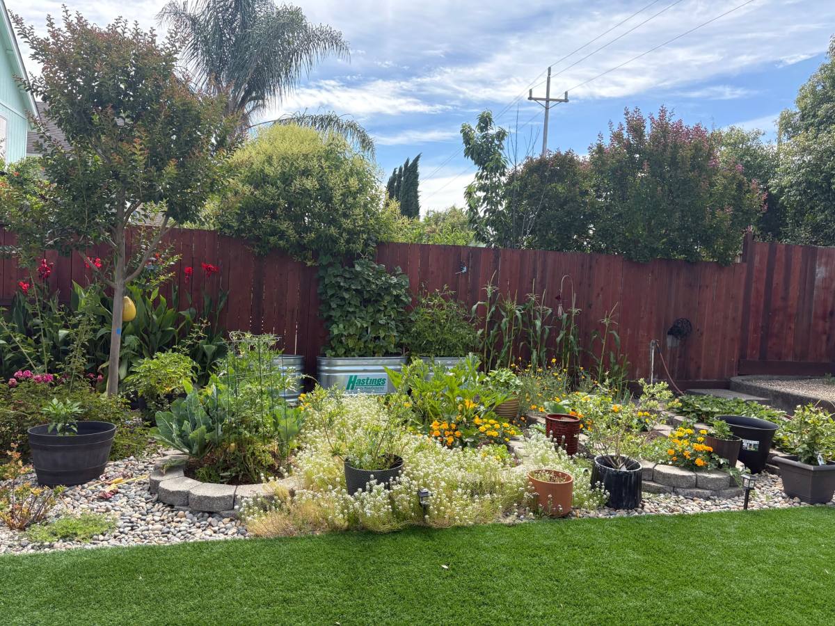 House for rent at 2172 Rachel Dr, Santa Rosa, CA 95401