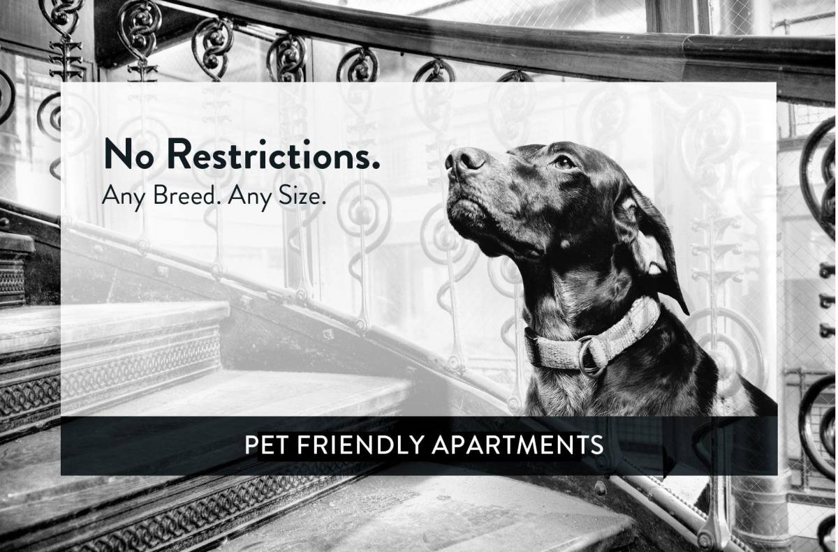 Apartment for rent at 225 W 15th St, Minneapolis, MN 55403