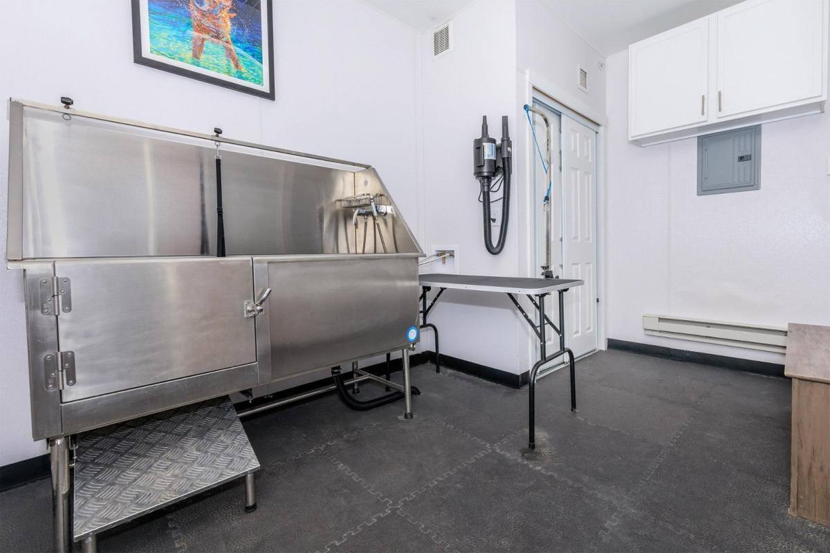 Apartment for rent at 19766 Pike Peak Ave, Parker, CO 80138