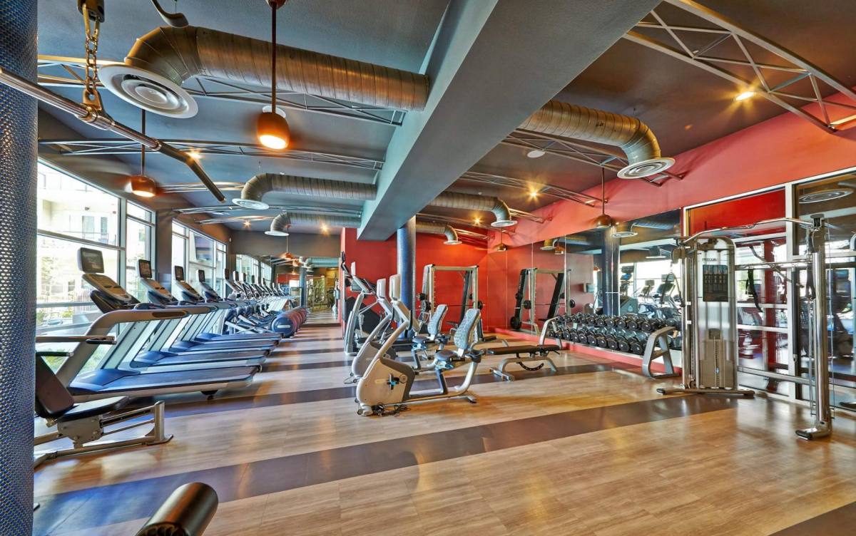 Apartment for rent at The Standard at Cityline, 1125 E Renner Rd, Richardson, TX 75082