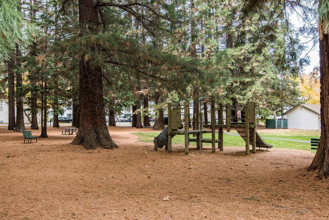 Apartment for rent at Redwood Park, 4103 W 18th Ave, Eugene, OR 97402