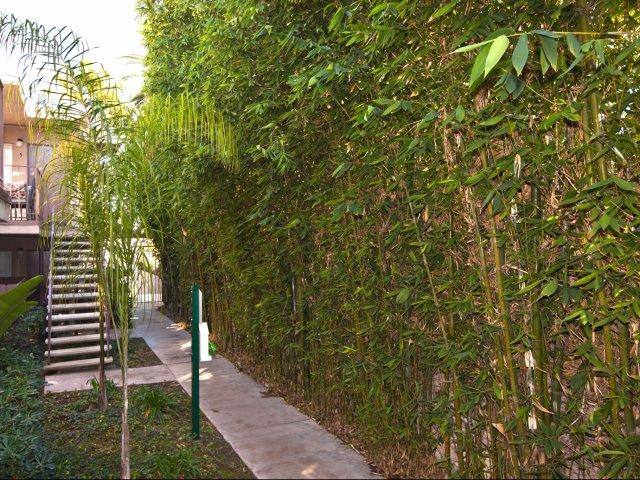 Apartment for rent at 4827 Niagara Ave #9, San Diego, CA 92107