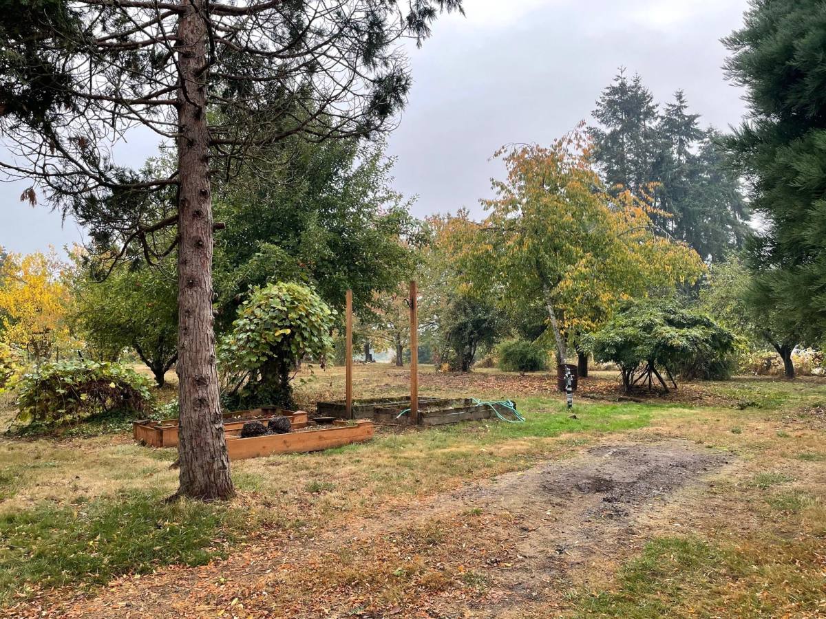 House for rent at 35349 S Farm Rd, Woodburn, OR 97071