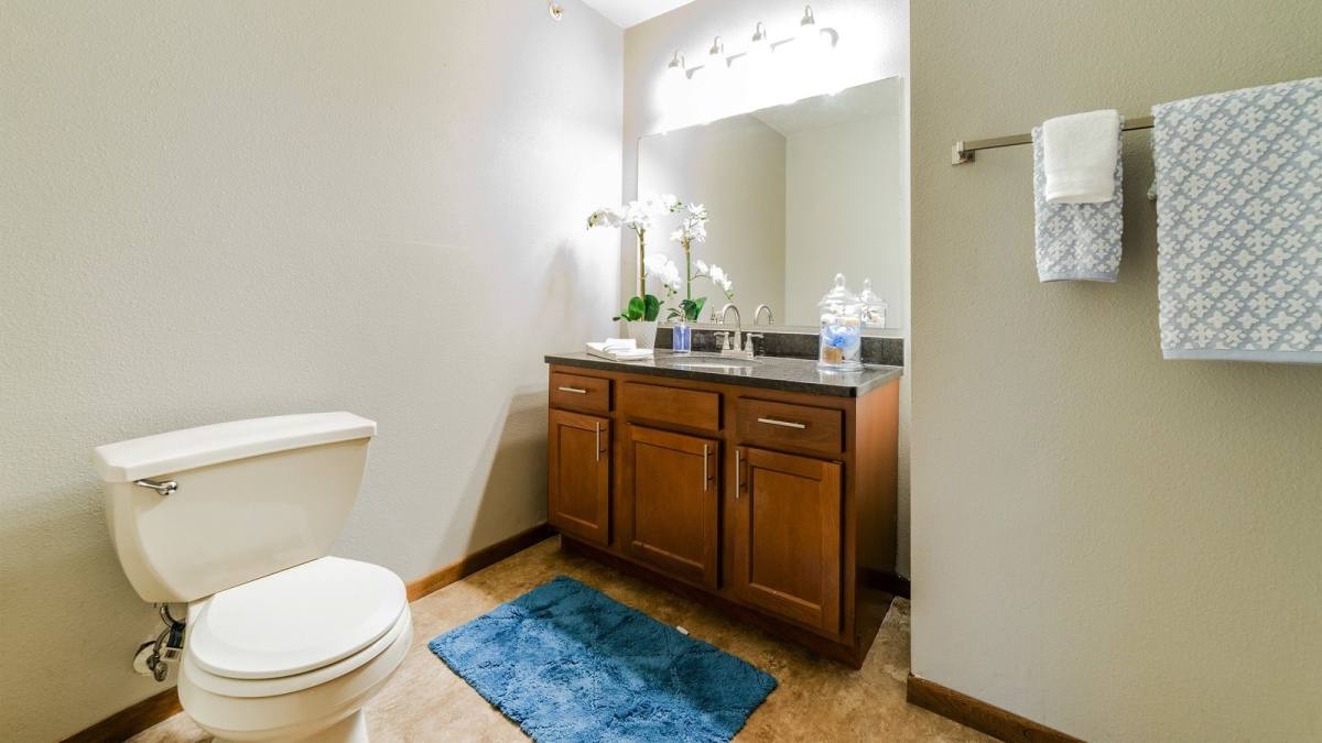 Apartment for rent at Springwood, 912 4th St SW, Forest Lake, MN 55025