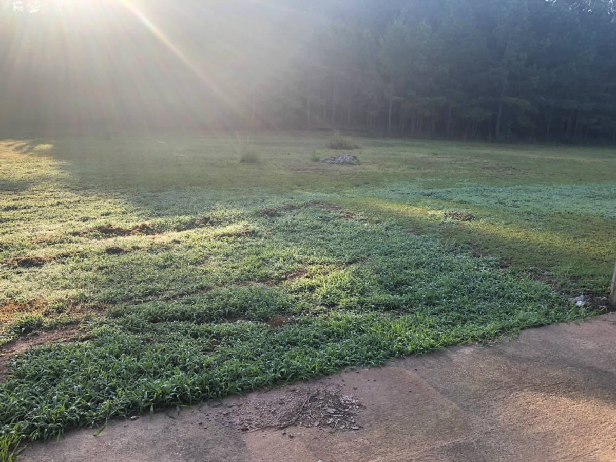 House for rent at 105 Hunters Run Rd, Athens, GA 30606