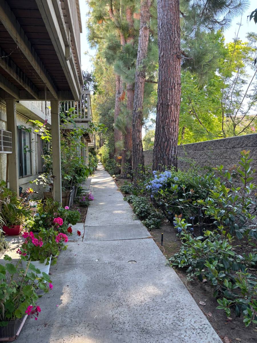 Apartment for rent at 5245 Chesebro Rd, Agoura Hills, CA 91301