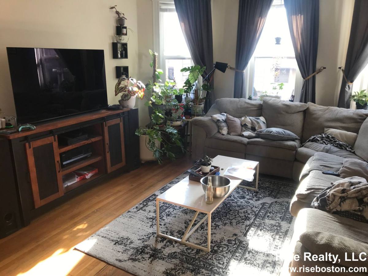 Apartment for rent at 39 Orkney Rd #1, Brighton, MA 02135