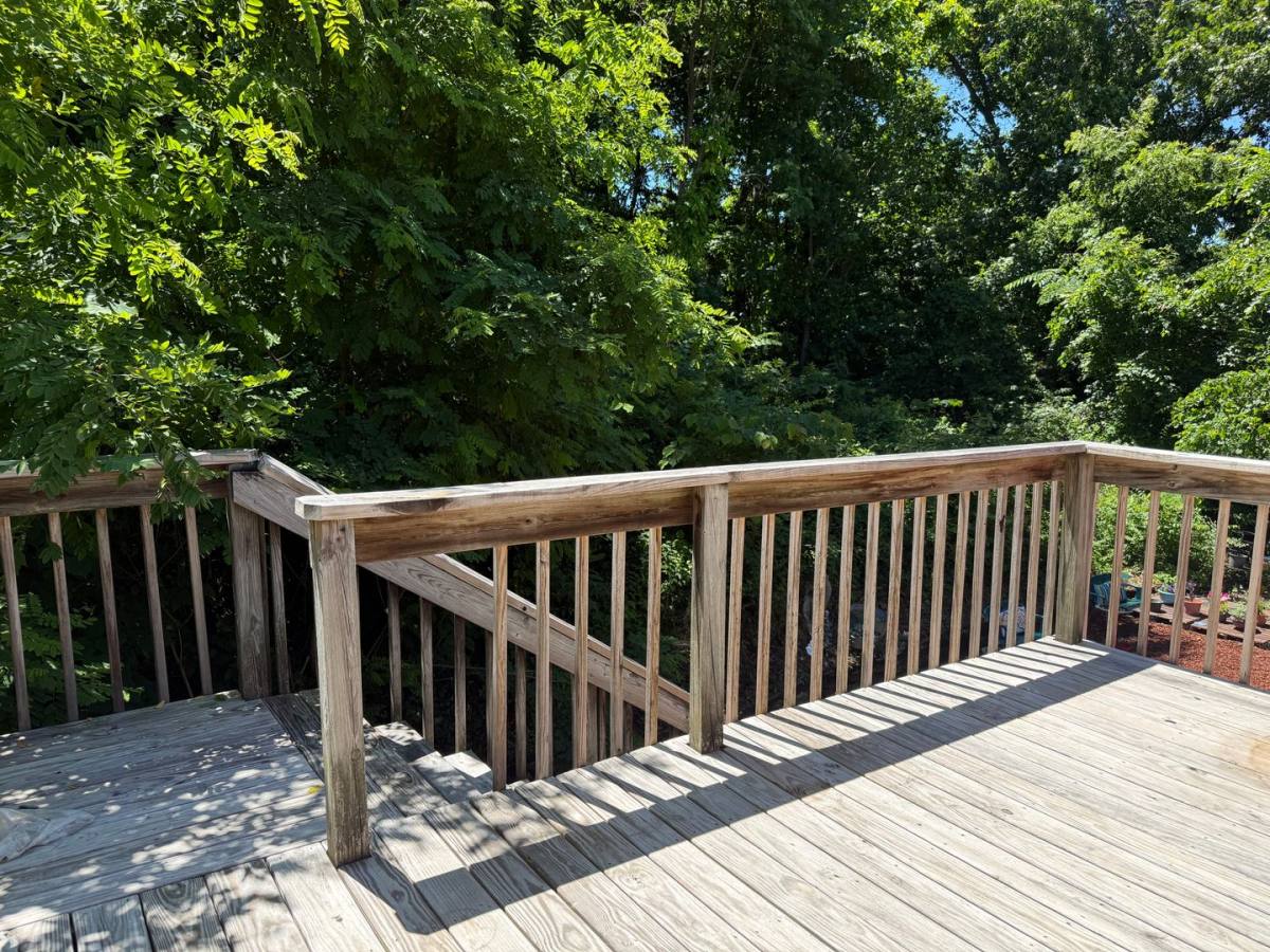 Apartment for rent at 113 Elliott & Scott Circle, Johnson City, TN 37604