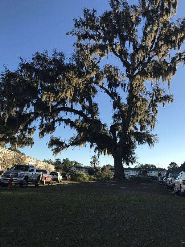 Townhouse for rent at 324 Laurel Oak Lane, Savannah, GA 31404