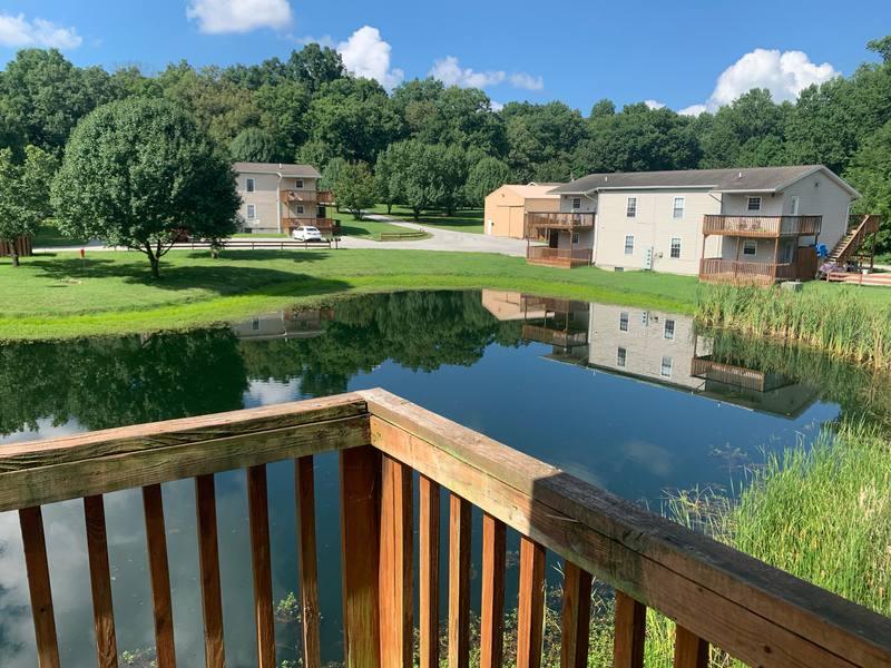 Apartment for rent at 43 Chelsea Lane #3, Carbondale, IL 62902