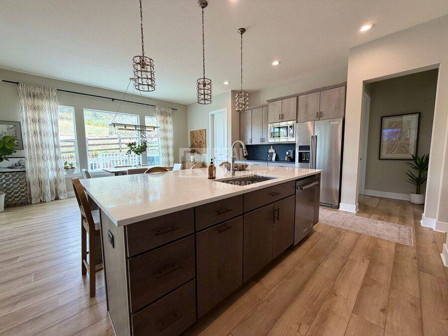 House for rent at 978 Brotherton Point, Castle Rock, CO 80104