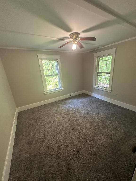 House for rent at 164 N Park St, Savanna, IL 61074