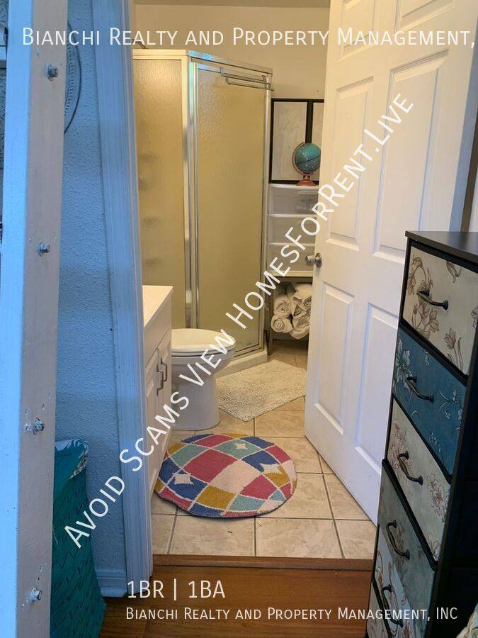 House for rent at 1653 Bravo Dr, Clearwater, FL 33764