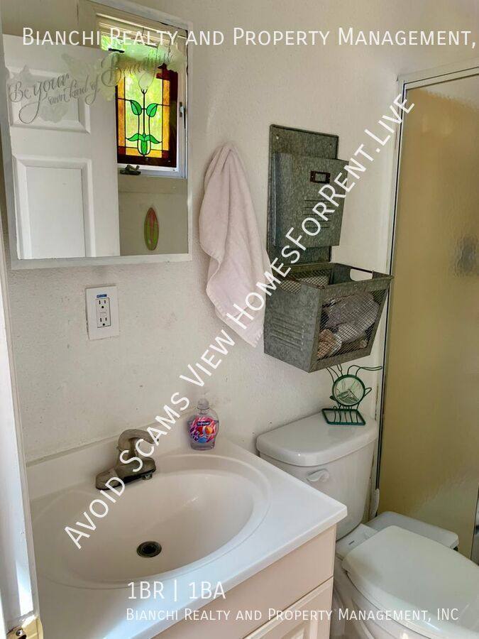 House for rent at 1653 Bravo Dr, Clearwater, FL 33764