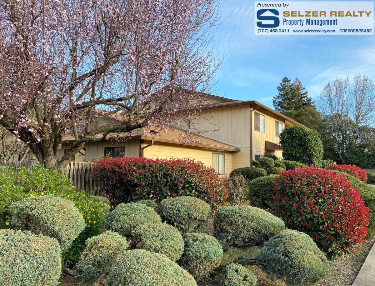 Apartment for rent at 911-921 Marlene St, Ukiah, CA 95482