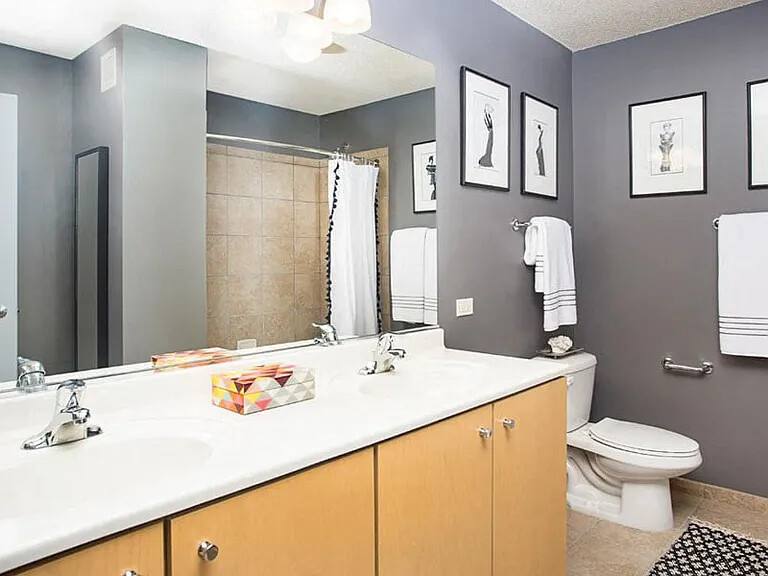 Apartment for rent at 225 N Columbus Dr, Chicago, IL 60601