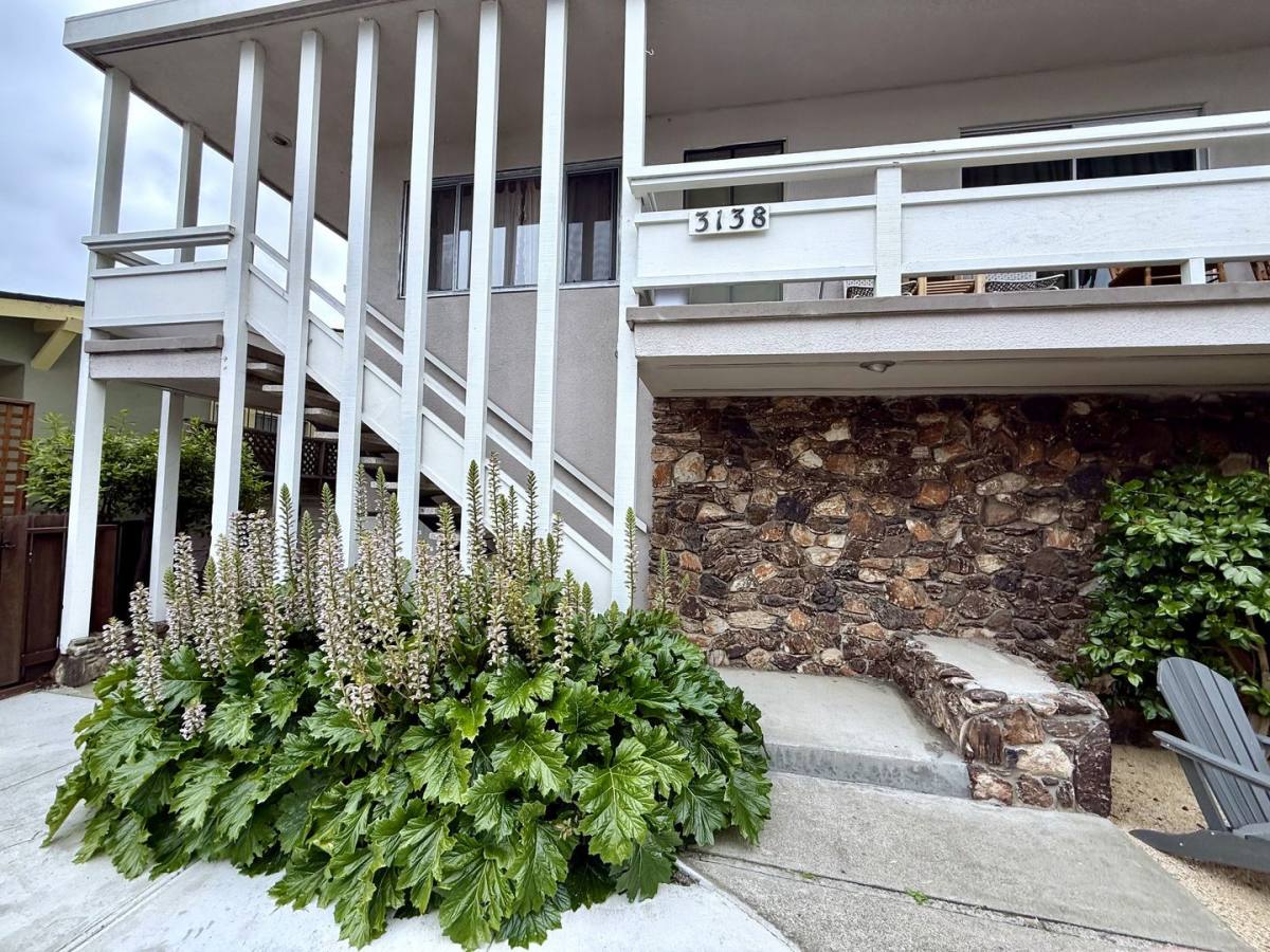 Apartment for rent at 3138 California St, Berkeley, CA 94703