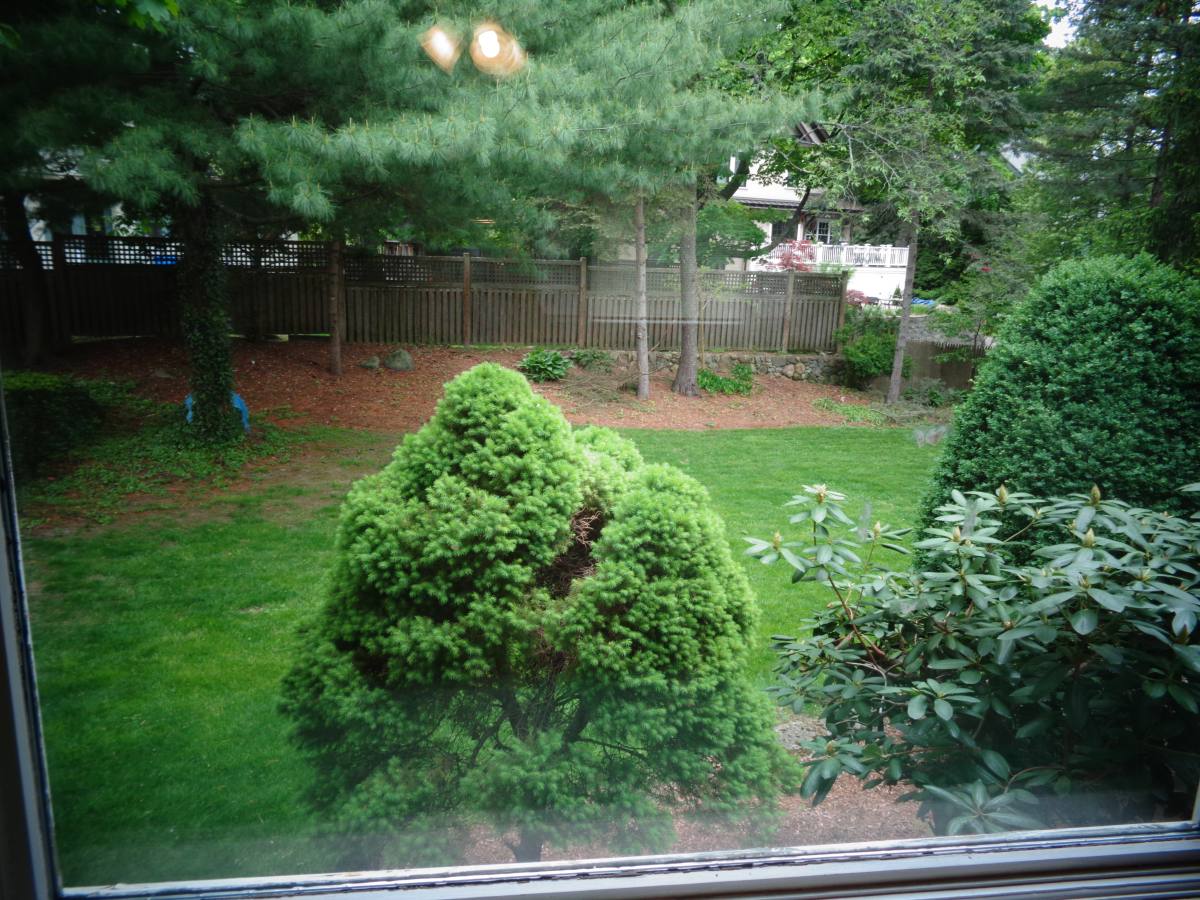 House for rent at 316 Waverley St #2, Belmont, MA 02478