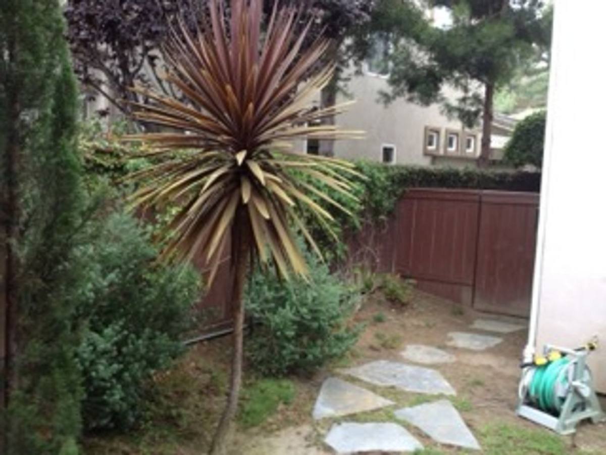House for rent at 3908 Lago Di Grata Circle, San Diego, CA 92130