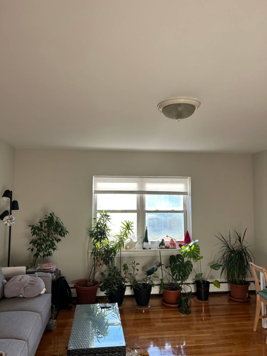Apartment for rent at 61 Selkirk Rd #11, Boston, MA 02115