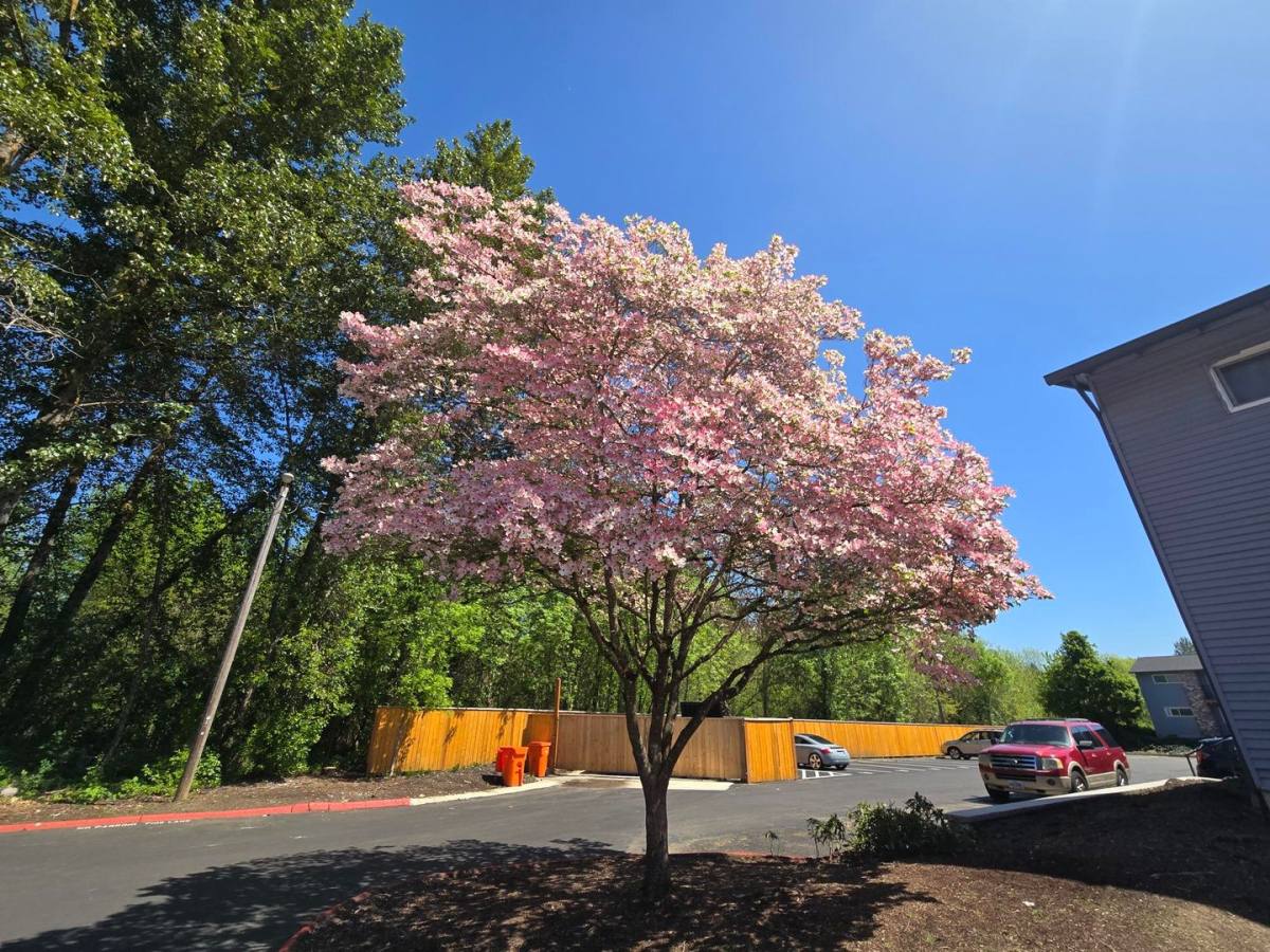 Apartment for rent at 13070 SW Ash Ave, Portland, OR 97223