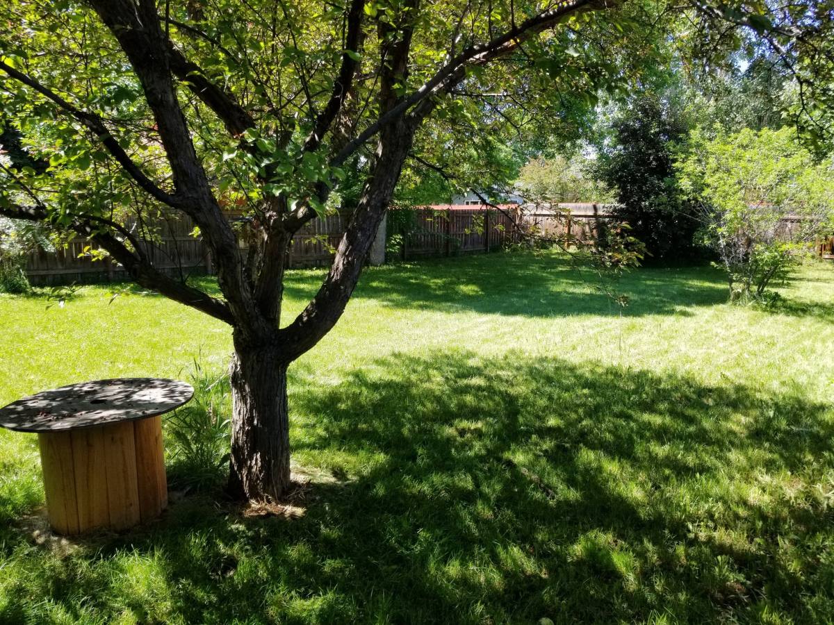 Apartment for rent at 505 N 16th Ave, Bozeman, MT 59715