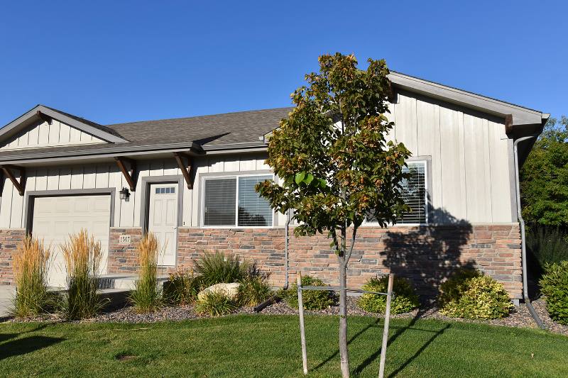 House for rent at 1507 Snowy Range Court, Loveland, CO 80538