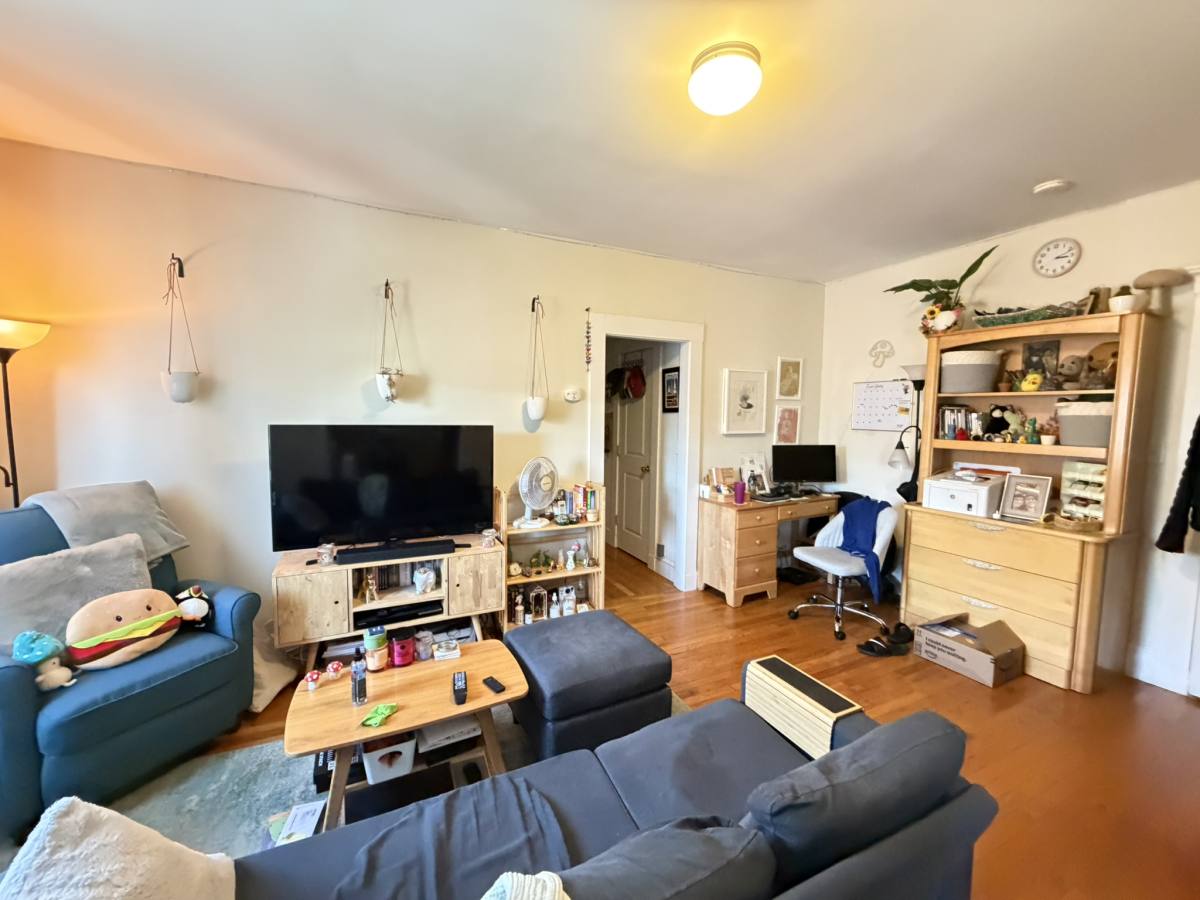 99 Brainerd Rd #18, Brighton, MA 02135 - Apartment for Rent - Image 2