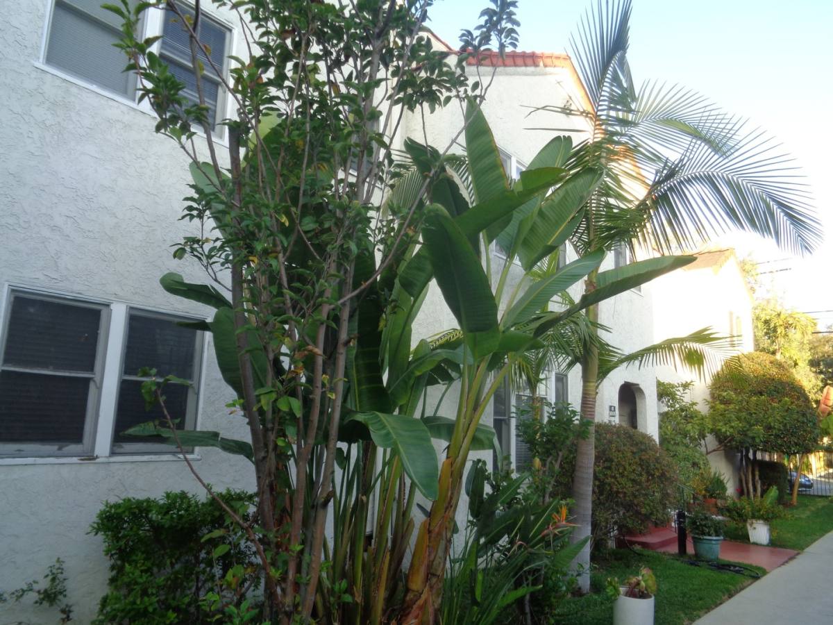 Apartment for rent at 631 Almond Ave, Long Beach, CA 90802