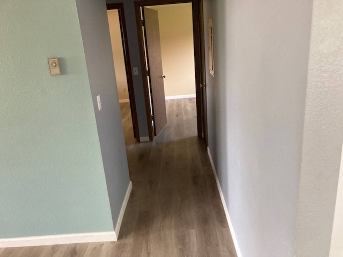 Apartment for rent at 630 Cedar St, Windsor, CO 80550