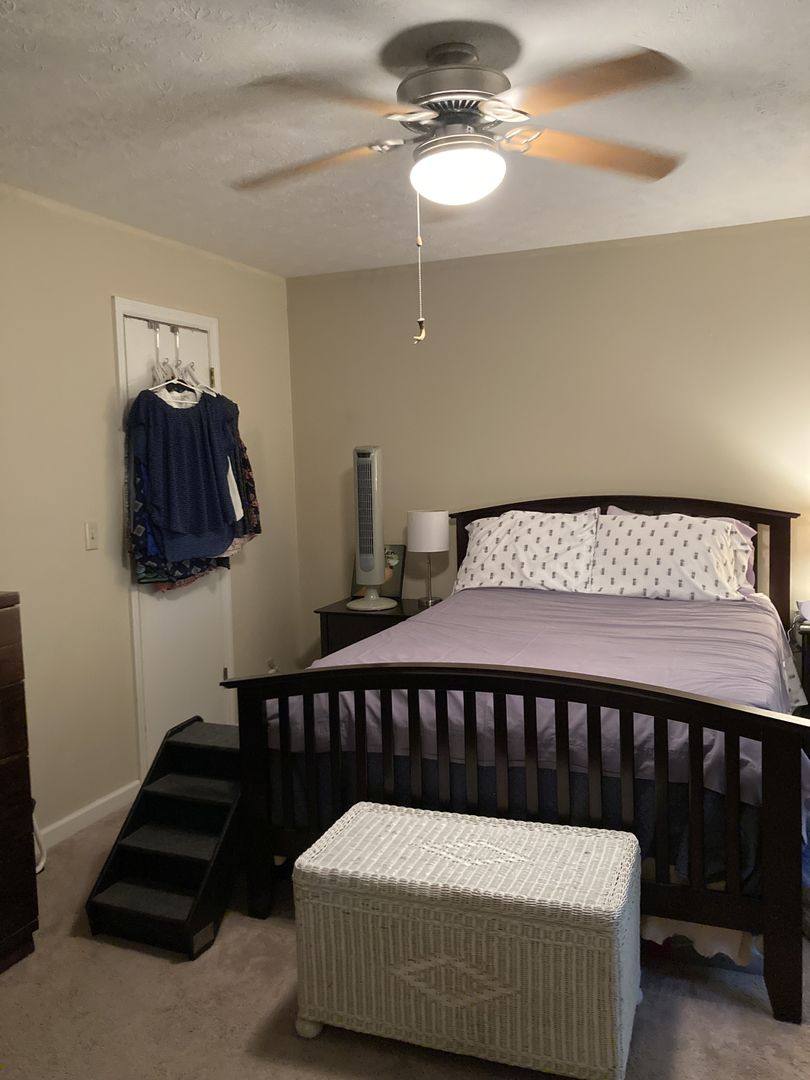 House for rent at 251 N Cedarbrook, Auburn, AL 36830