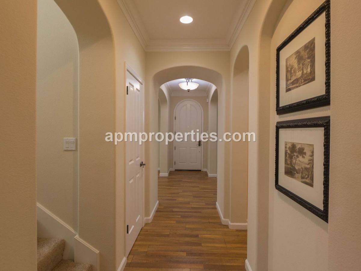 House for rent at 2291 Magnolia Bridge Dr, San Ramon, CA 94582