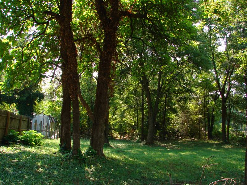 House for rent at 5402 Saint Barnabas Rd, Oxon Hill, MD 20745