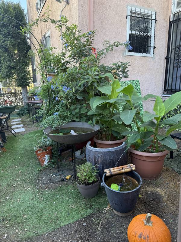 Apartment for rent at 1781 Orchid Ave #201, Los Angeles, CA 90028