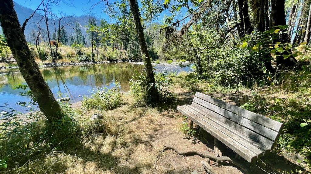 House for rent at 51675 Blue River Dr, Blue River, OR 97413