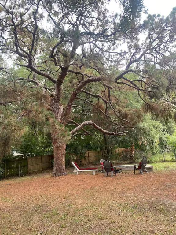 House for rent at 4503 80th St N, Saint Petersburg, FL 33709