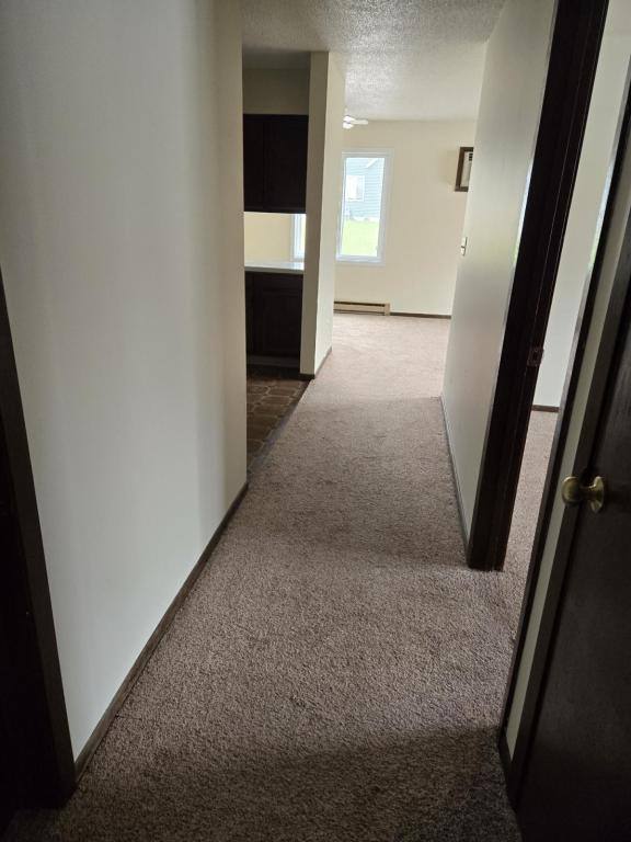 Apartment for rent at 309 W 9th St #14, Starbuck, MN 56381