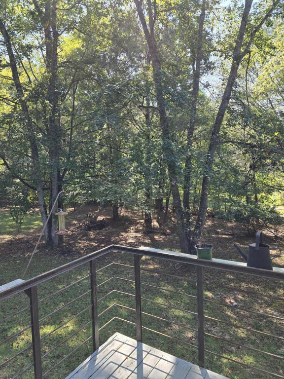House for rent at 180 Pinewood Dr, Senoia, GA 30276